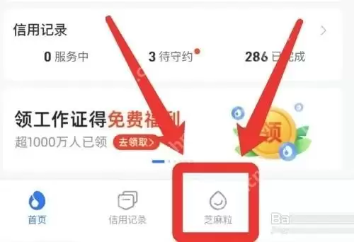 支付宝芝麻粒在哪里看
