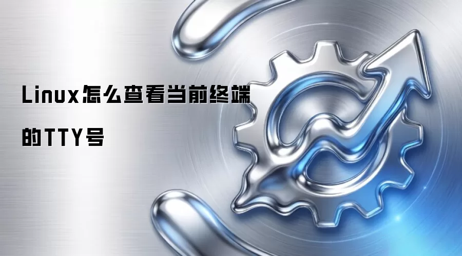 Linux怎么查看当前终端的TTY号