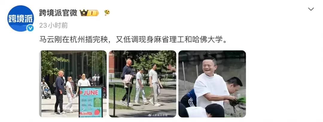 马云刚在杭州插完秧,又低调现身麻省理工和哈佛大学
