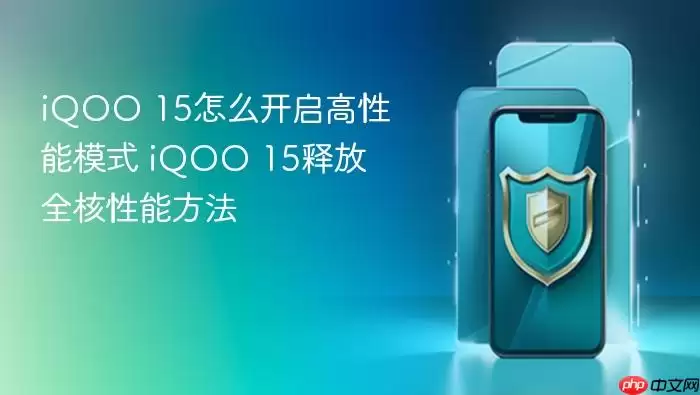 iQOO 15怎么开启高性能模式 iQOO 15释放全核性能方法