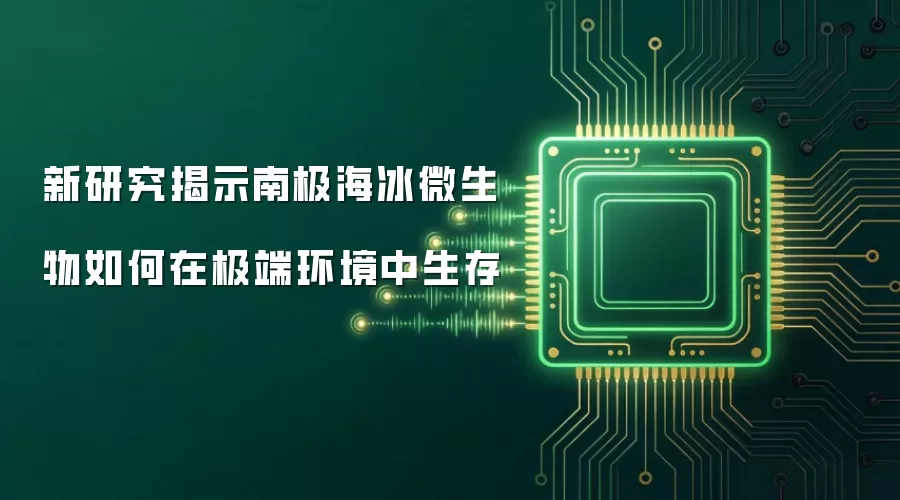 新研究揭示南极海冰微生物如何在极端环境中生存