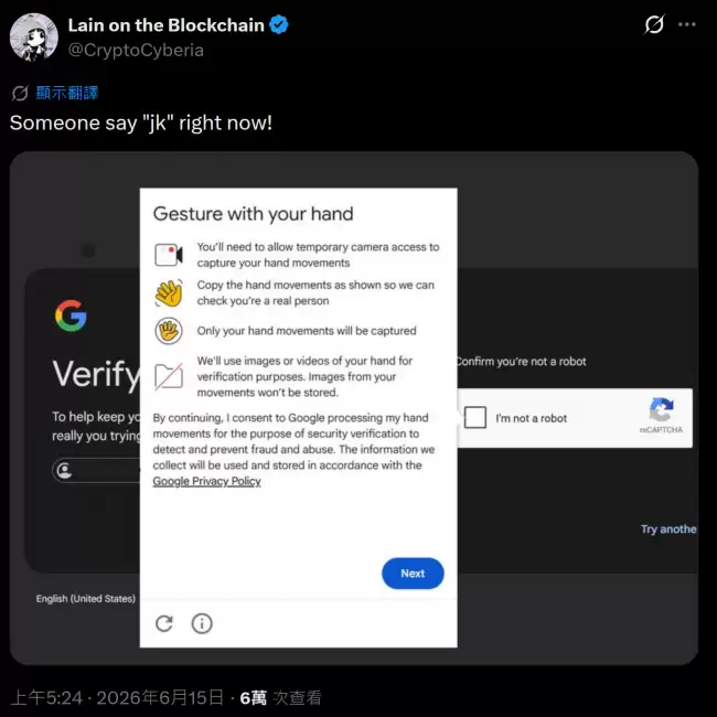 （G-G）推出新型 reCAPTCHA 人机验证用户需对摄像头挥手