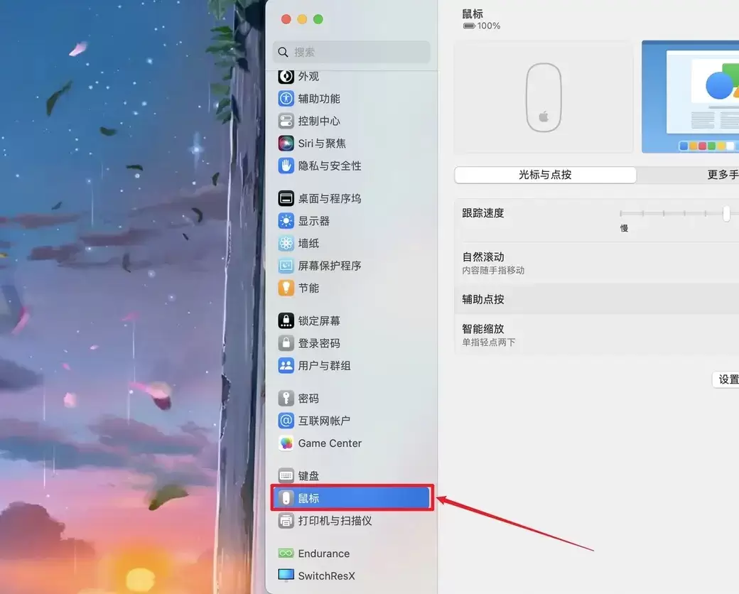 macOS系统设置侧边栏选中鼠标并显示跟踪速度与自然滚动