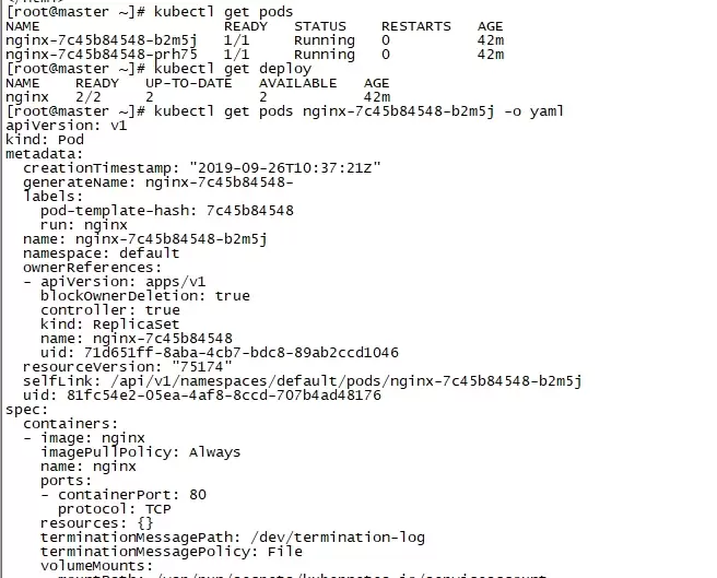 kubectl 终端显示 nginx Pod 列表及 YAML 中的标签和容器信息