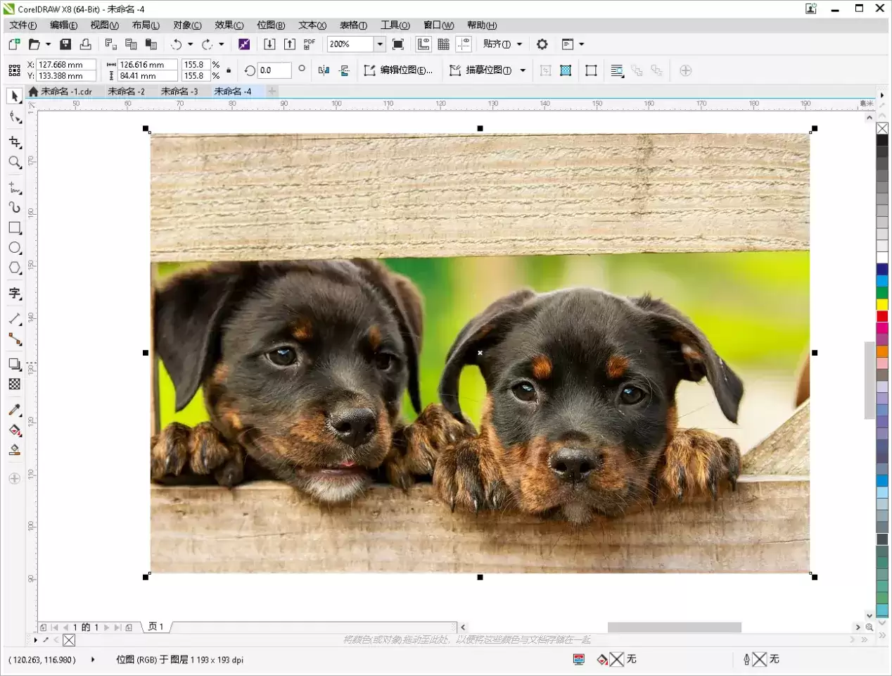 CorelDRAW 2021图片虚化与边缘处理教程