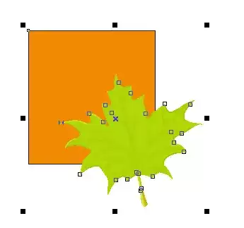 CorelDRAW中选择工具选中树叶和矩形对象,矩形对象处于最后选中状态