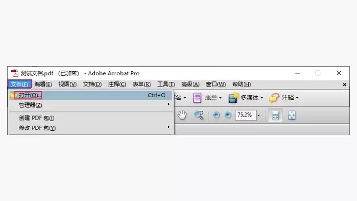 Adobe Acrobat Pro修改pdf图1