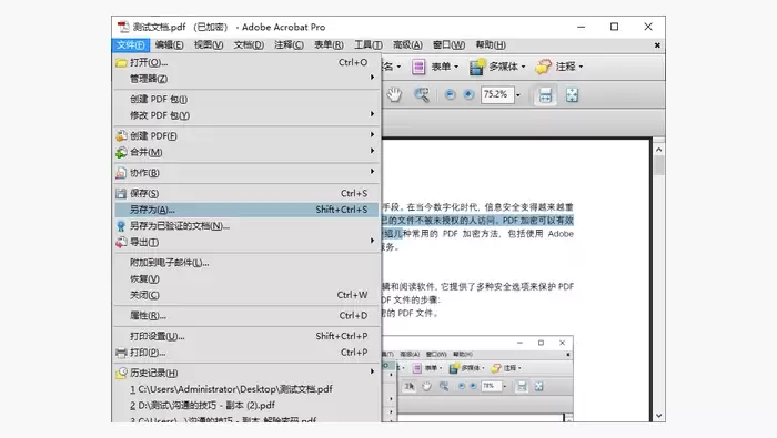 Adobe Acrobat Pro修改pdf图3