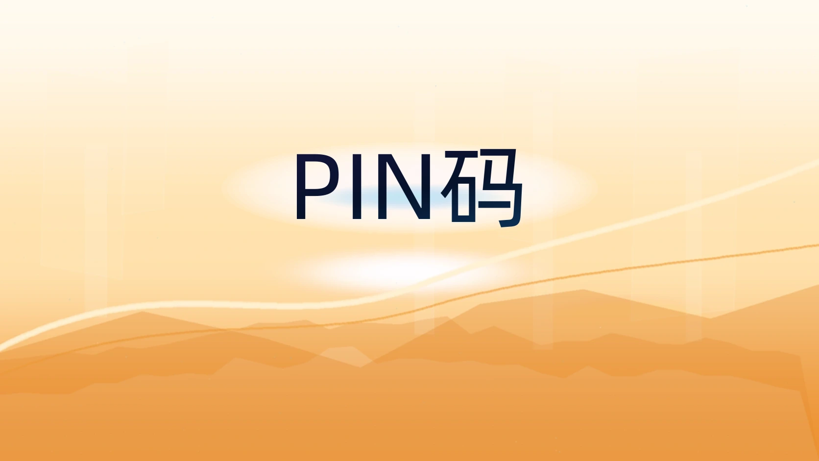 PIN码