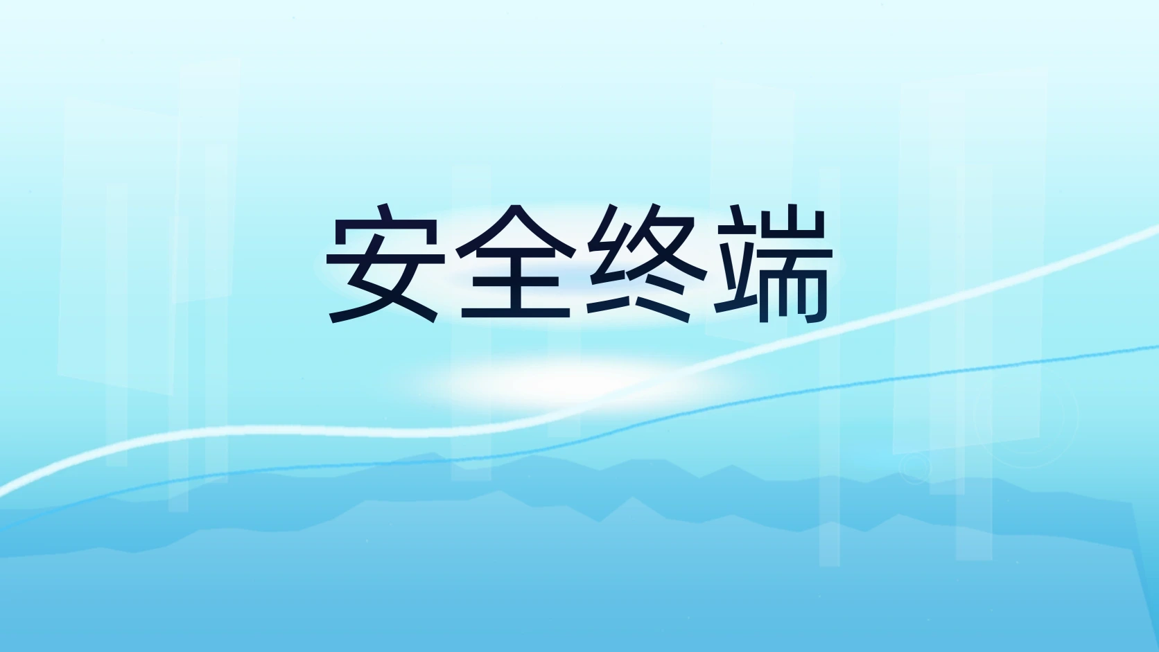 安全终端