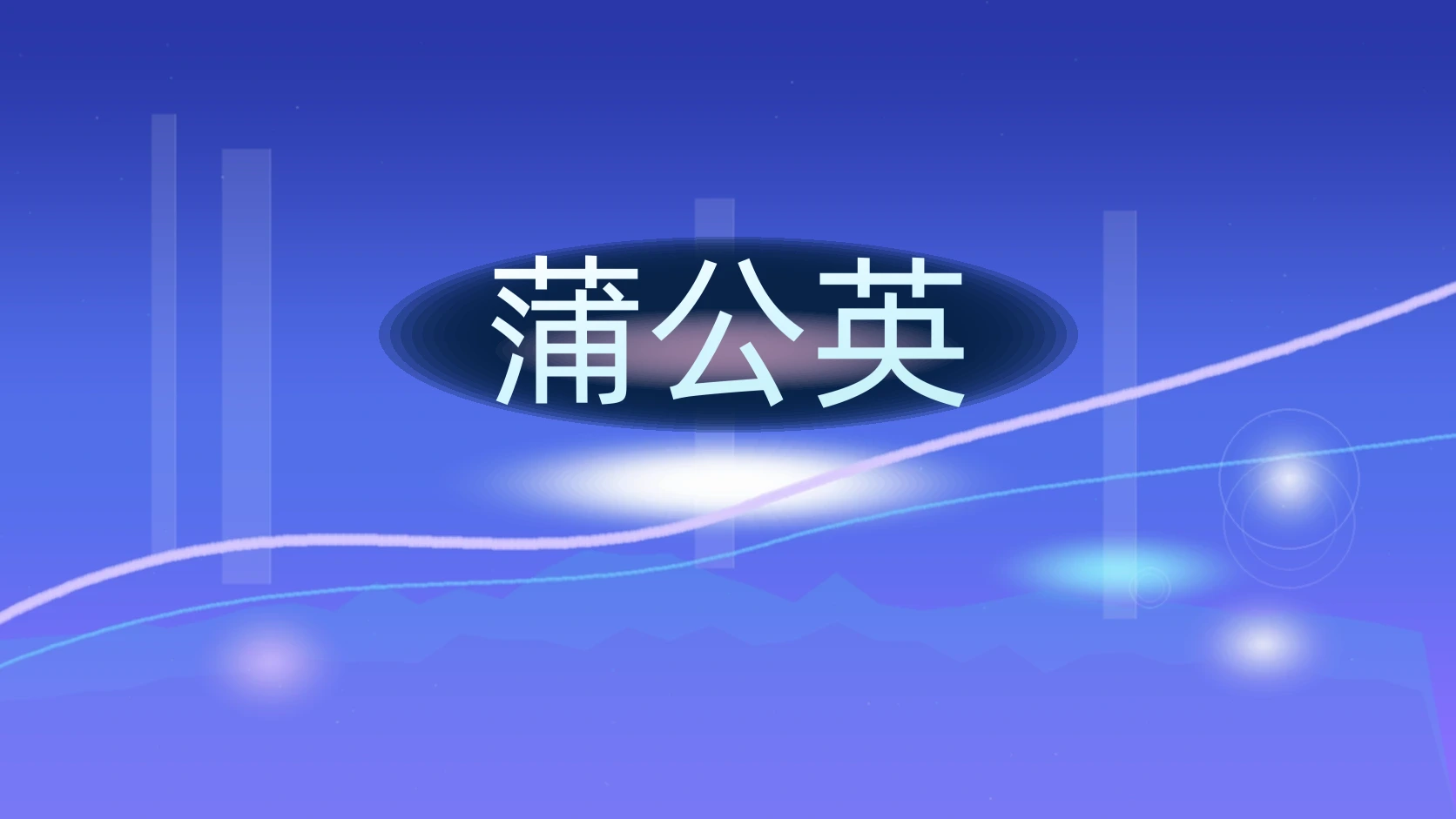 蒲公英
