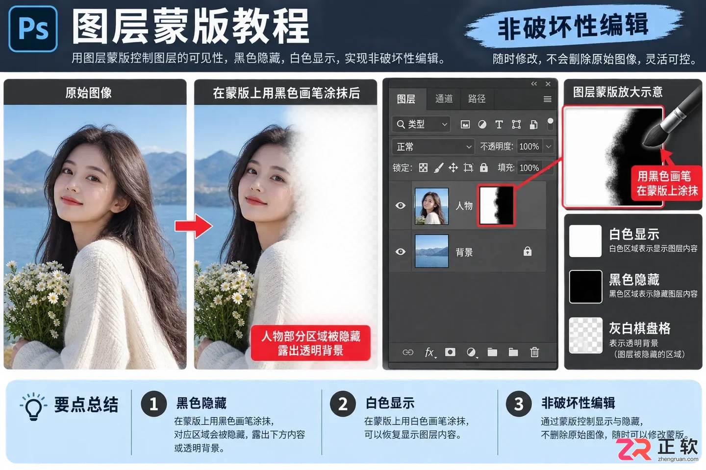 图层右侧的白色蒙版缩略图，配合画笔工具进行隐藏与显示