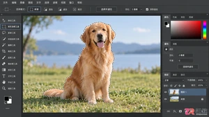 Photoshop选区如何修改？调整范围 大小和边界的方法