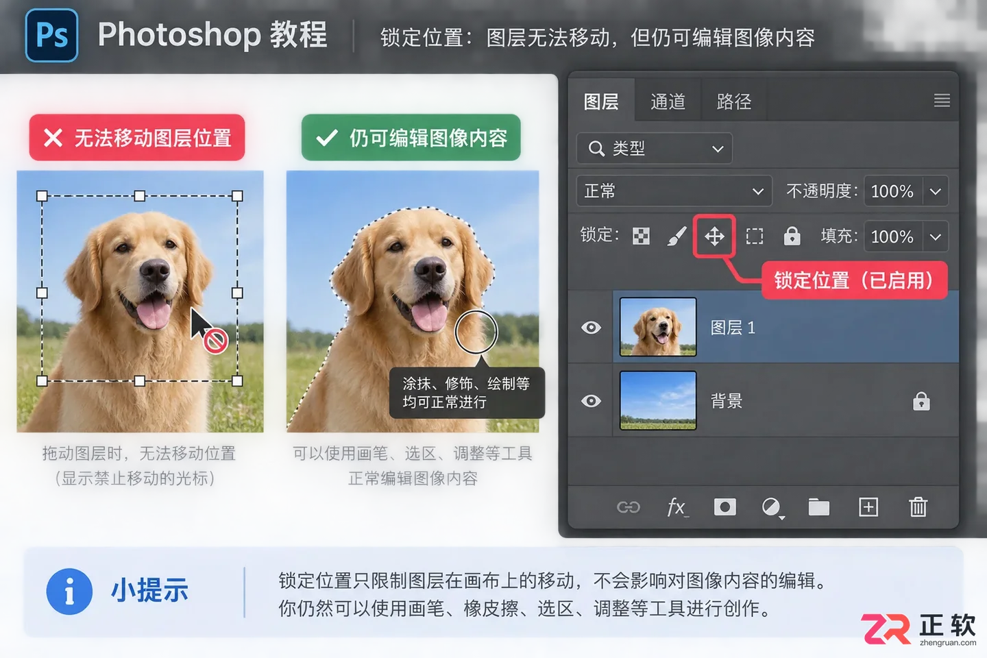 Photoshop图层锁定怎么解除？无法编辑和点击没反应的解决方法