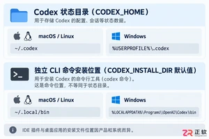 codex安装目录在哪里?默认路径及查找方法