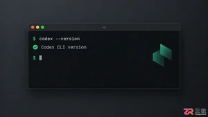 codex桌面版下载skill详细安装教程