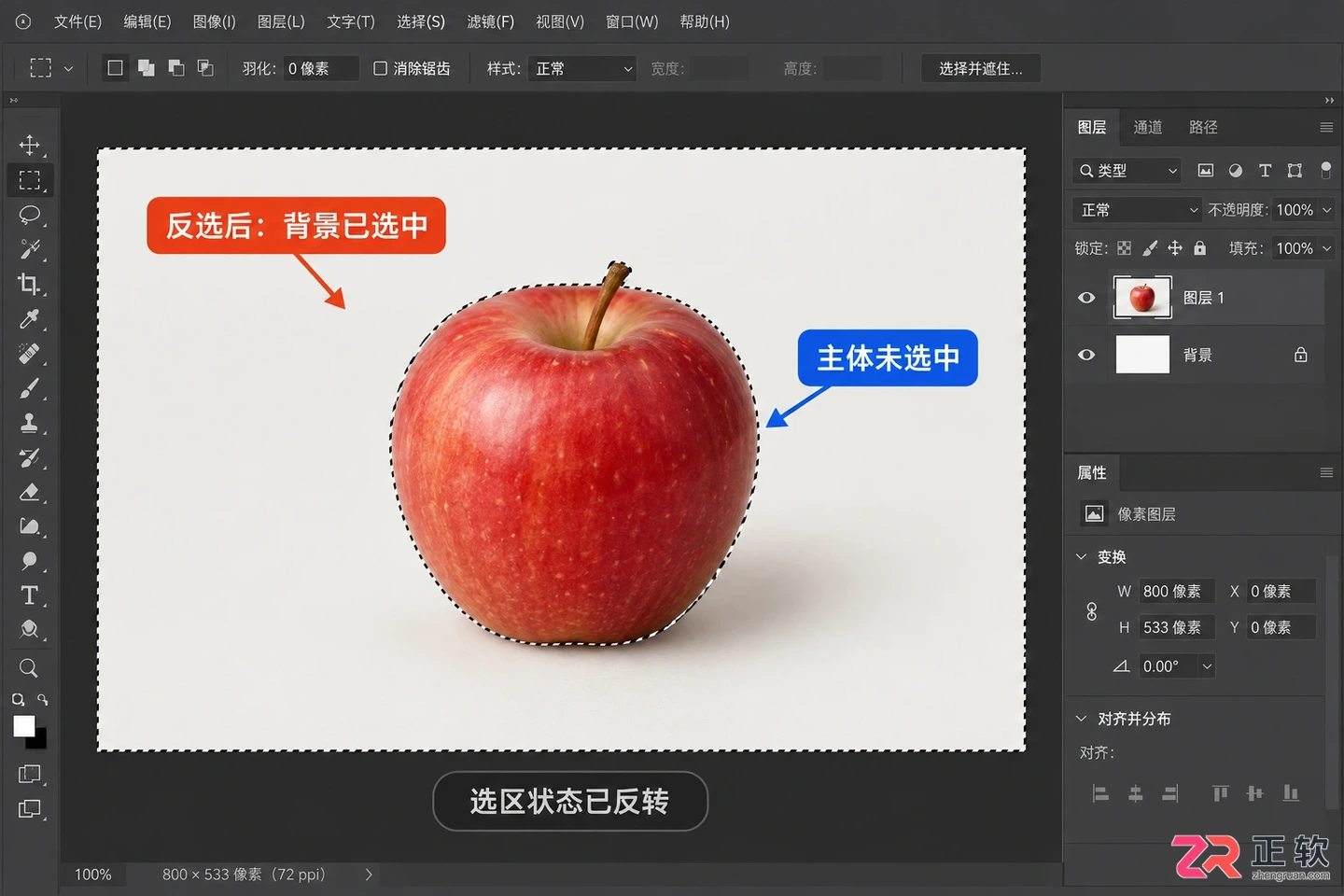 Photoshop选区怎么反选?快捷键与操作方法