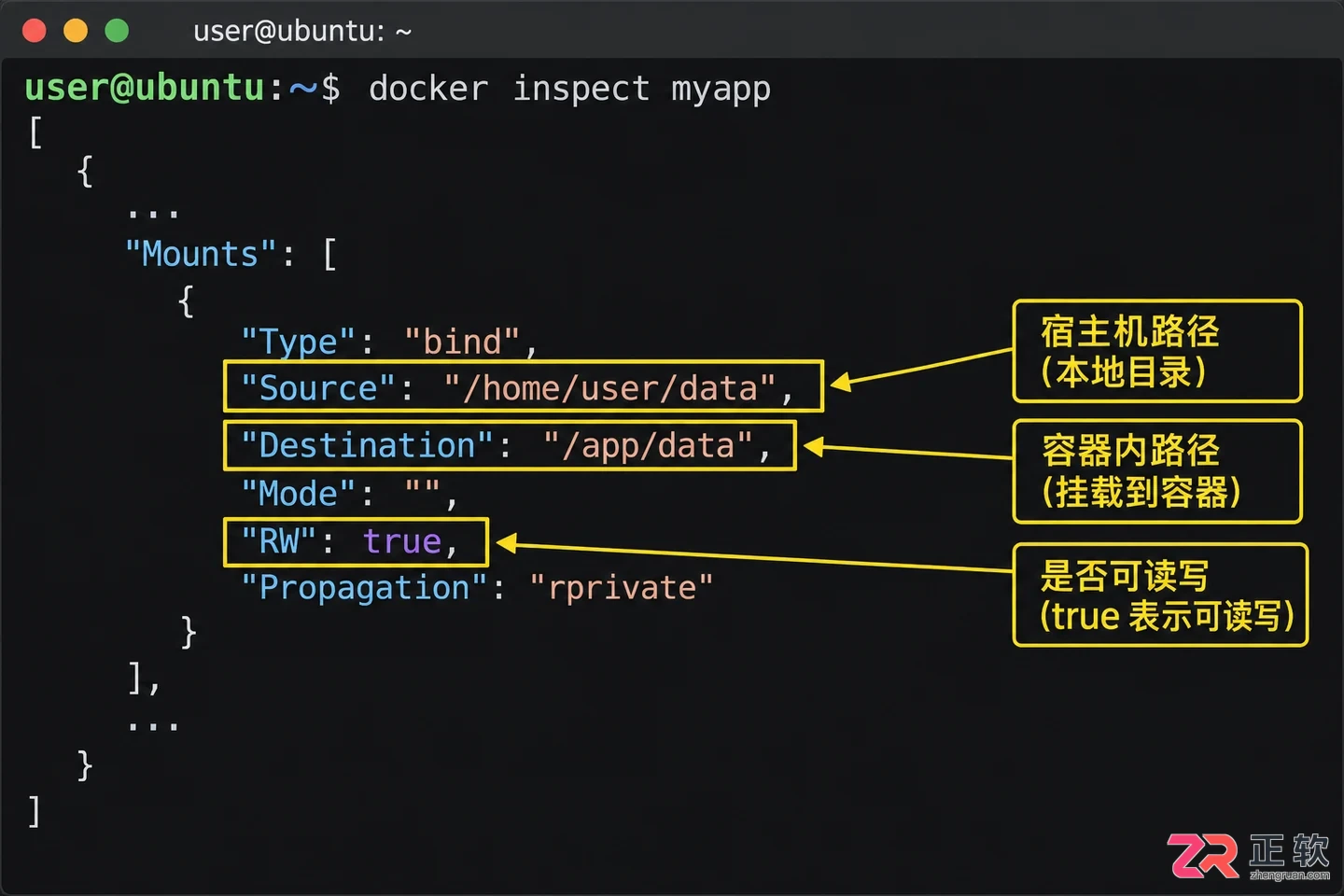 docker挂载目录教程详解本地目录映射方法