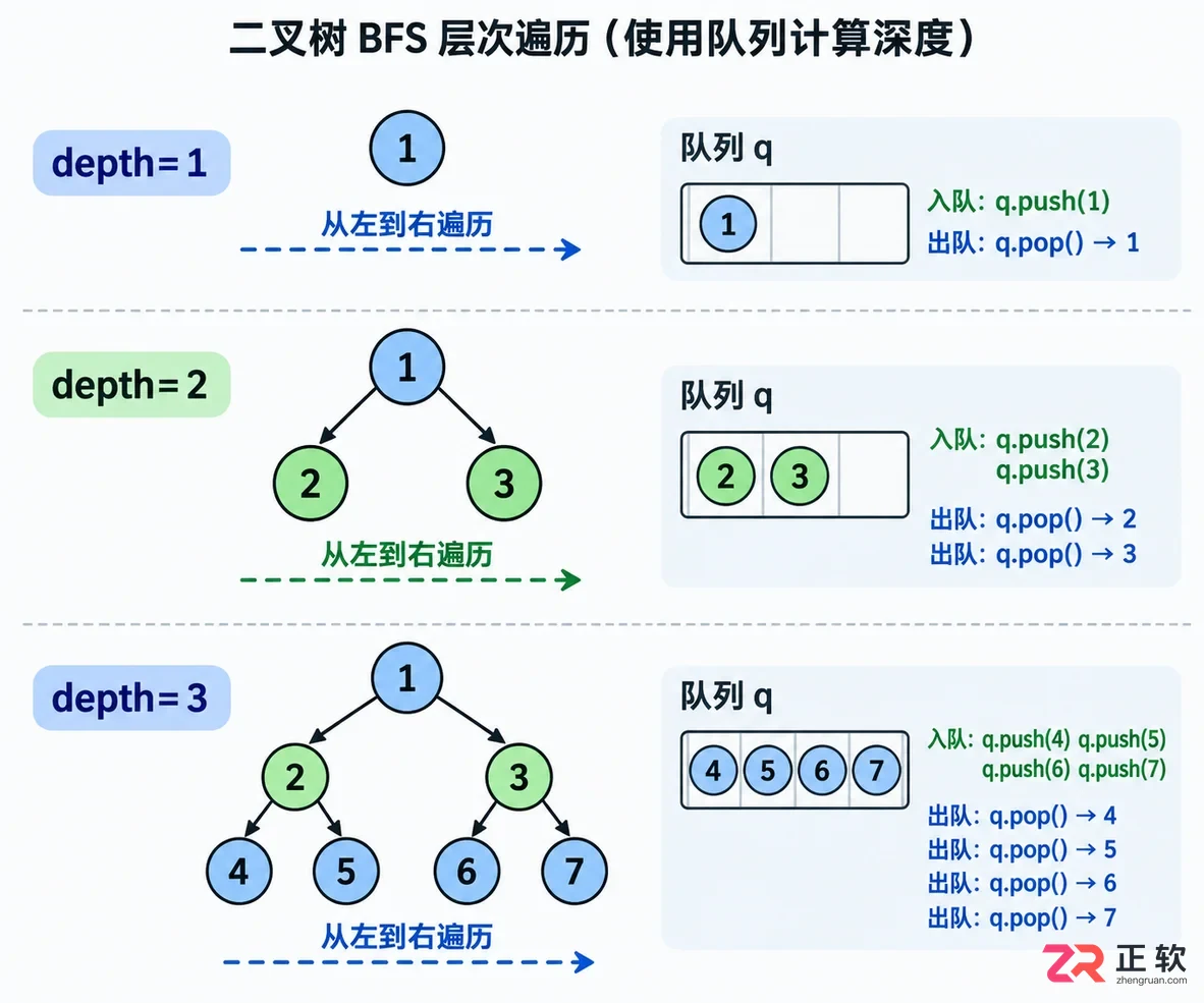 二叉树最大深度怎么算递归计算方法详解