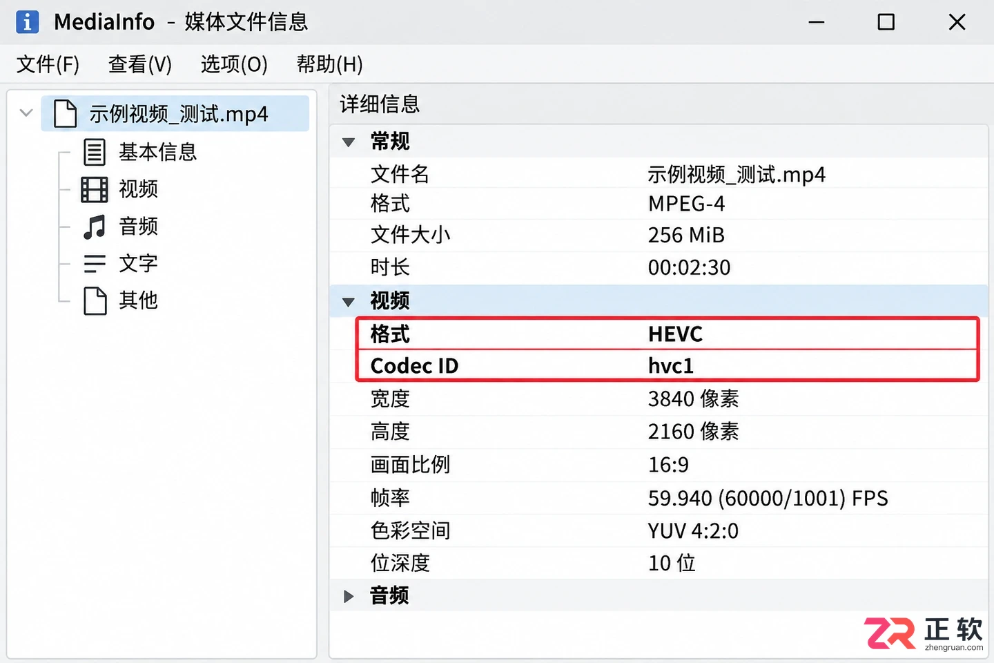 idm下载视频为什么播放不了常见原因及解决方法