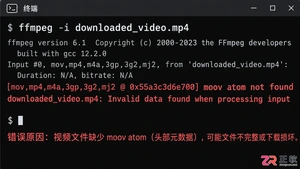 idm下载视频为什么播放不了常见原因及解决方法