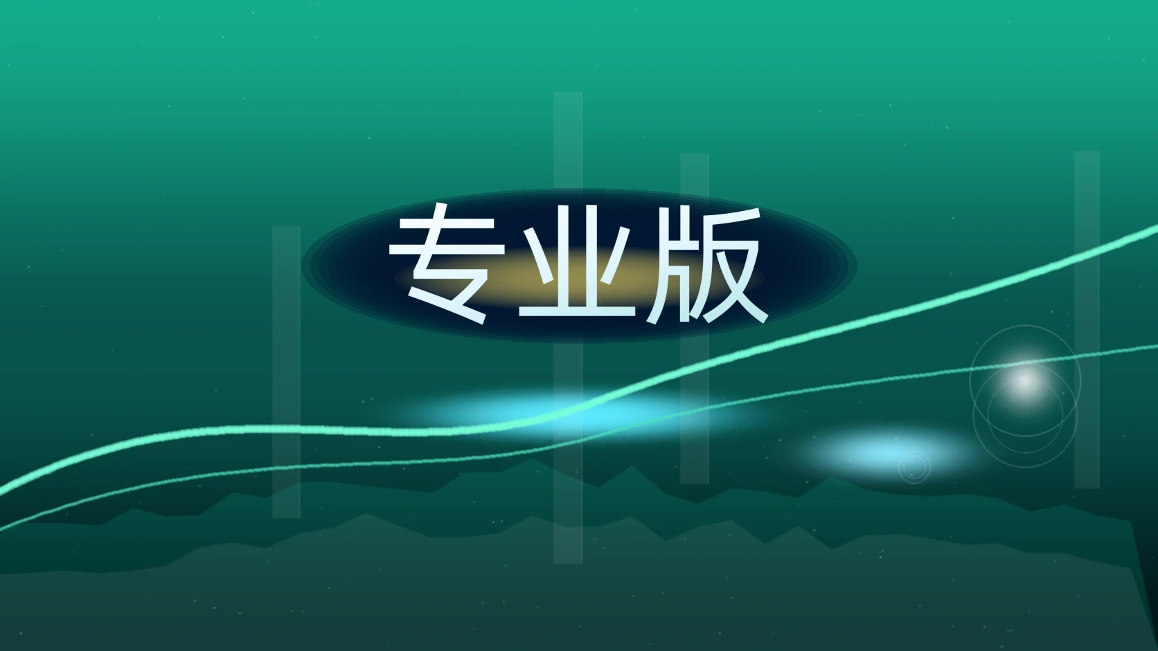 专业版