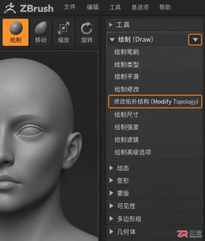 zbrush修改拓扑选项不见了怎么恢复显示