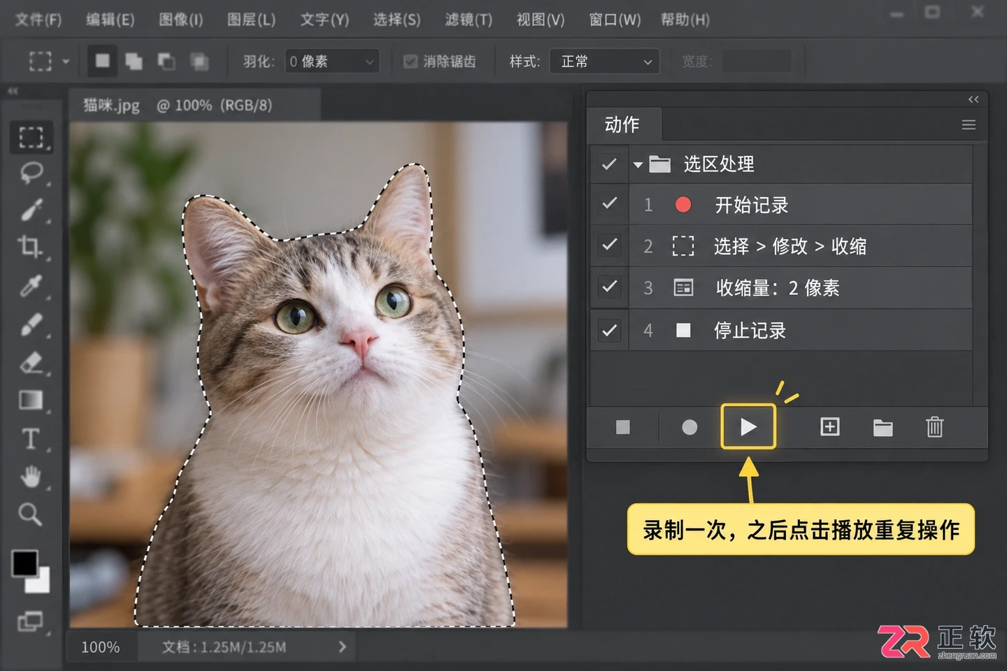Photoshop选区怎么收缩？缩小一圈与快捷键操作方法