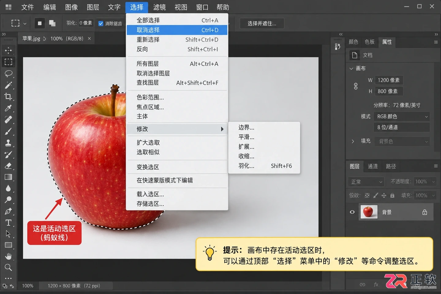 Photoshop选区怎么收缩？缩小一圈与快捷键操作方法