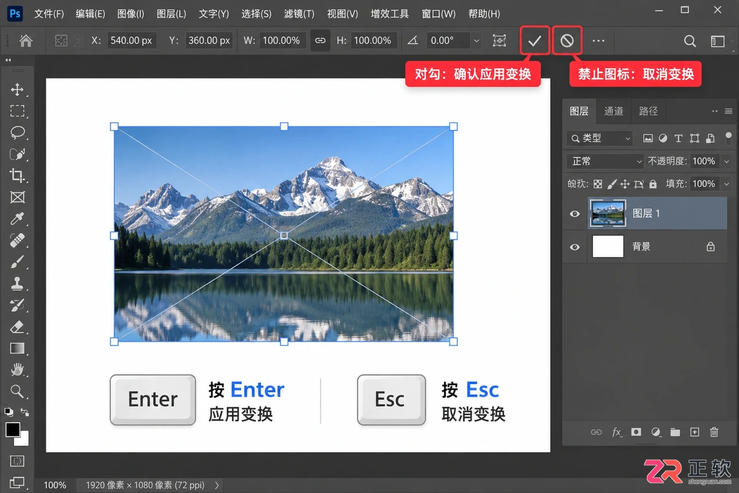 Photoshop调整图层大小快捷键:PS单个图层放大缩小方法