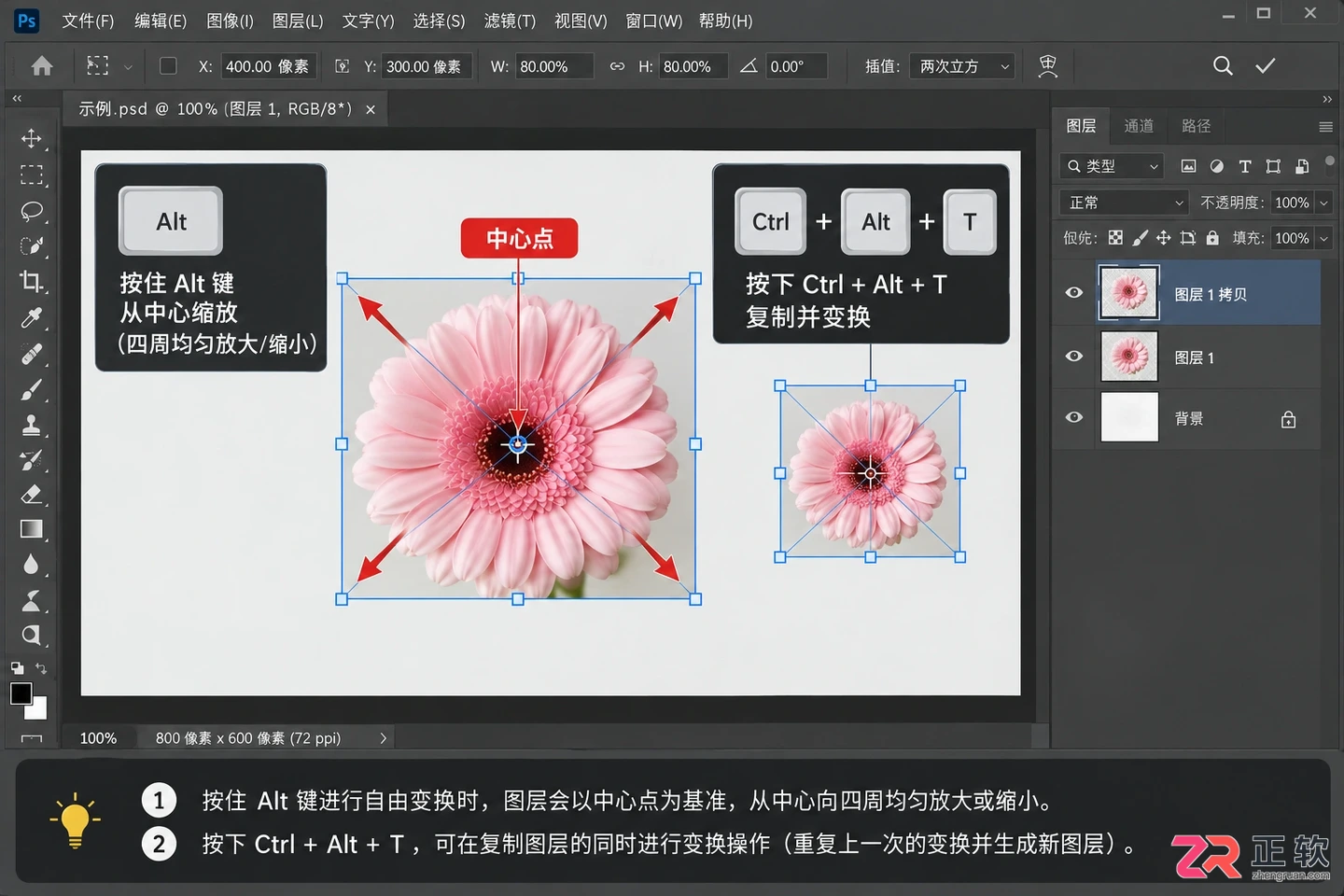 Photoshop调整图层大小快捷键:PS单个图层放大缩小方法