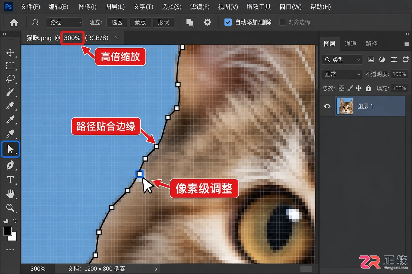 photoshop钢笔工具移动锚点