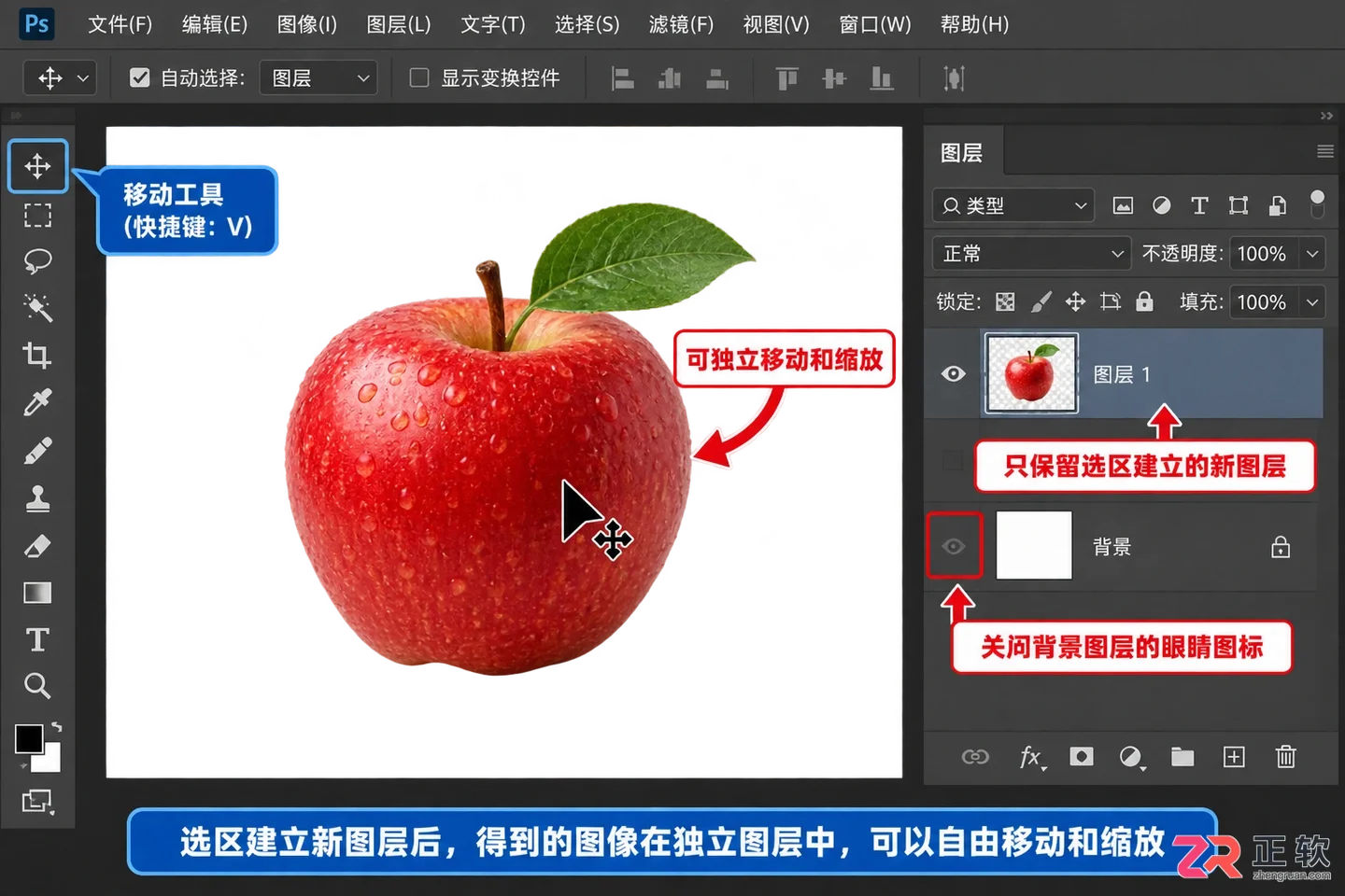 Photoshop选区建立新图层快捷键及操作方法