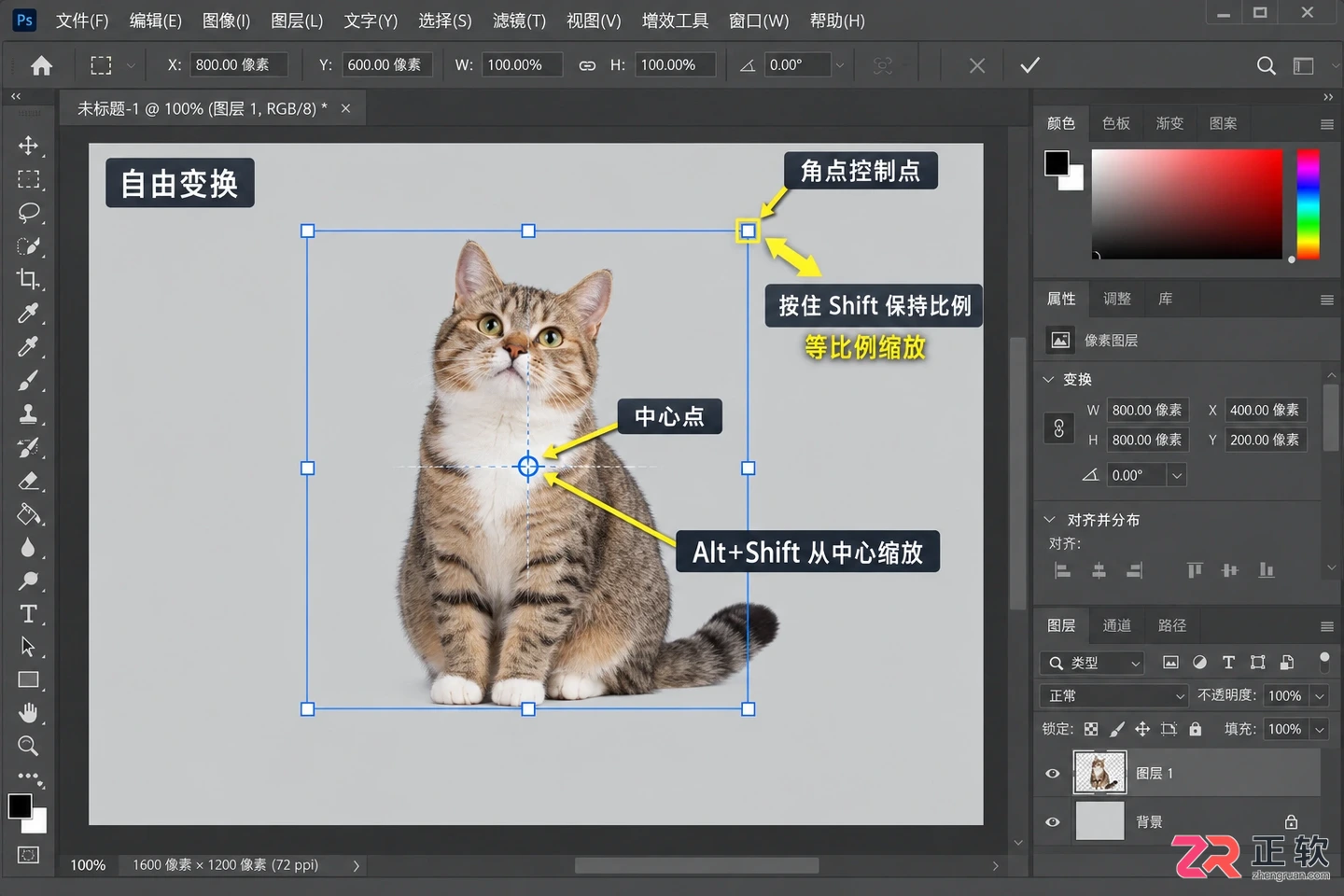 Photoshop抠图后如何调整大小和位置及放大缩小快捷键方法