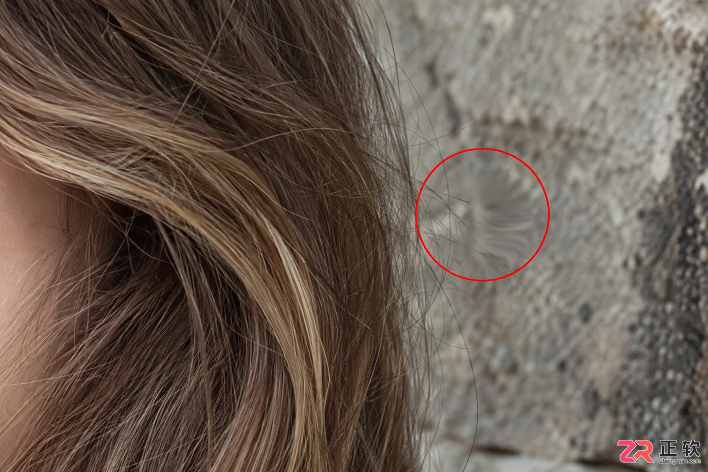 Photoshop污点修复与仿制图章工具的使用场景对比