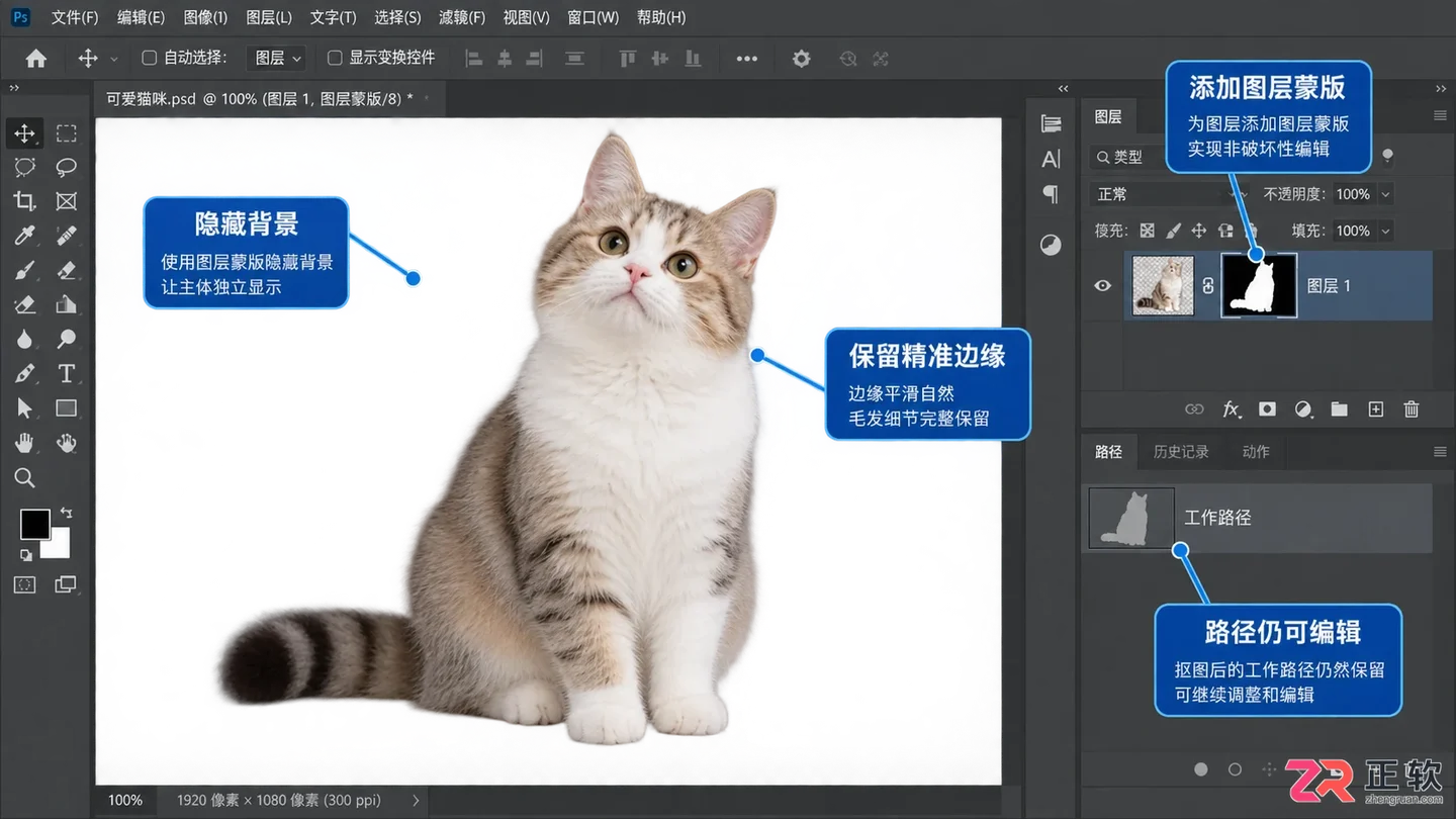 Photoshop利用路径进行精准抠图的步骤