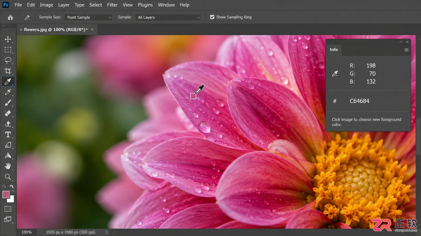 Photoshop工具箱图标功能详解与新手入门指南
