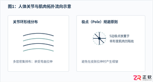 3ds Max角色建模拓扑规范：人体布线原则与肌肉走向