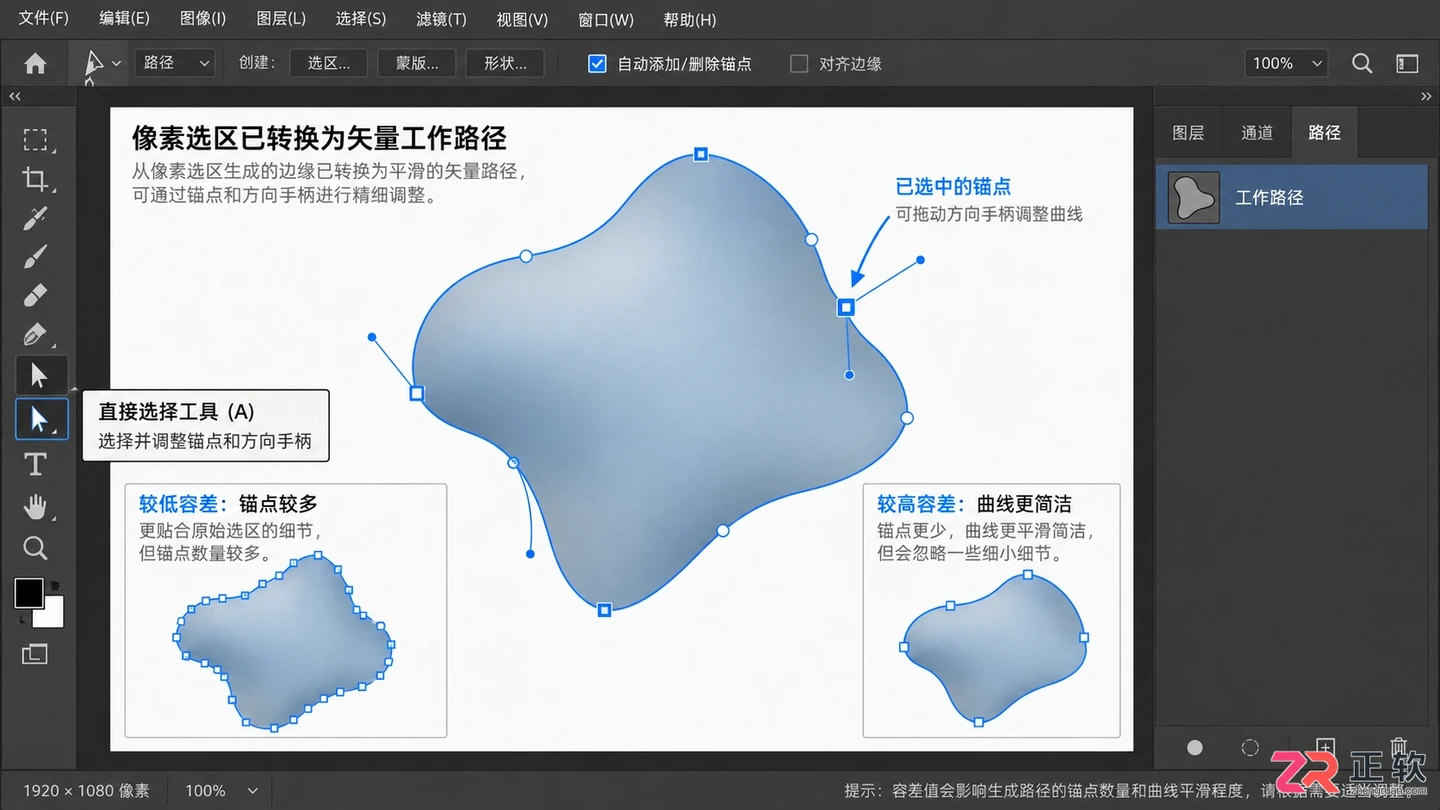 Photoshop选区怎么变成路径？操作步骤与精度调整方法