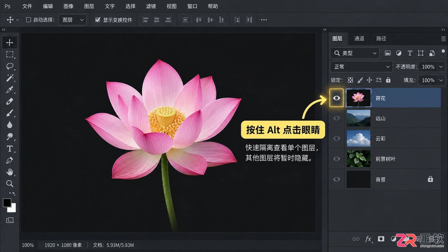 Photoshop图层管理教程：图层面板 整理技巧与快捷键详解