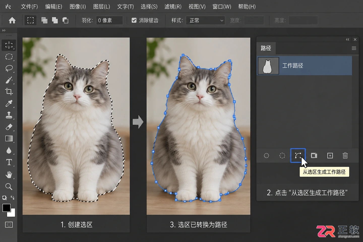 Photoshop选区转换为路径的方法及快捷操作