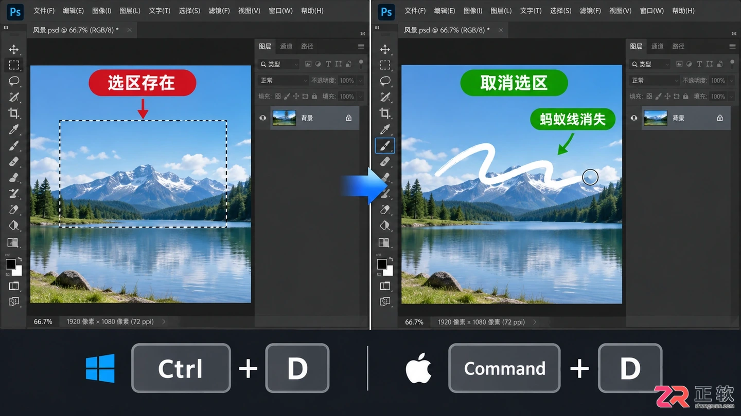 Photoshop选区怎么取消?快捷键与部分取消方法
