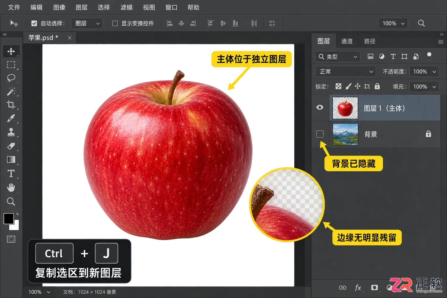Photoshop选区工具怎么用?常用工具与快捷键详解