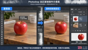Photoshop选区怎么复制粘贴?快捷键与移动方法