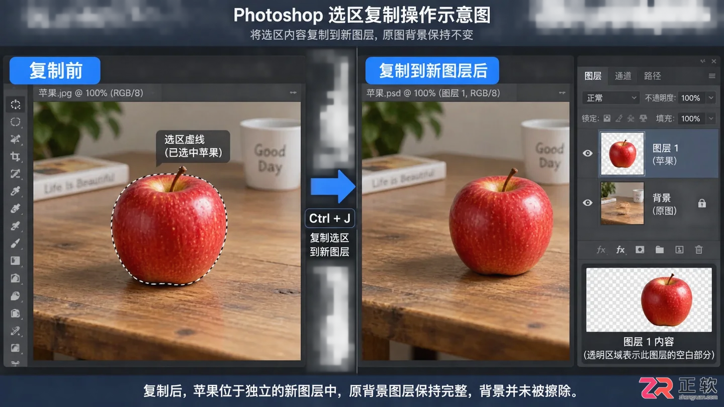 Photoshop选区怎么复制粘贴?快捷键与移动方法