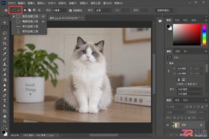 Photoshop选区的基本操作:建立 调整与取消选区