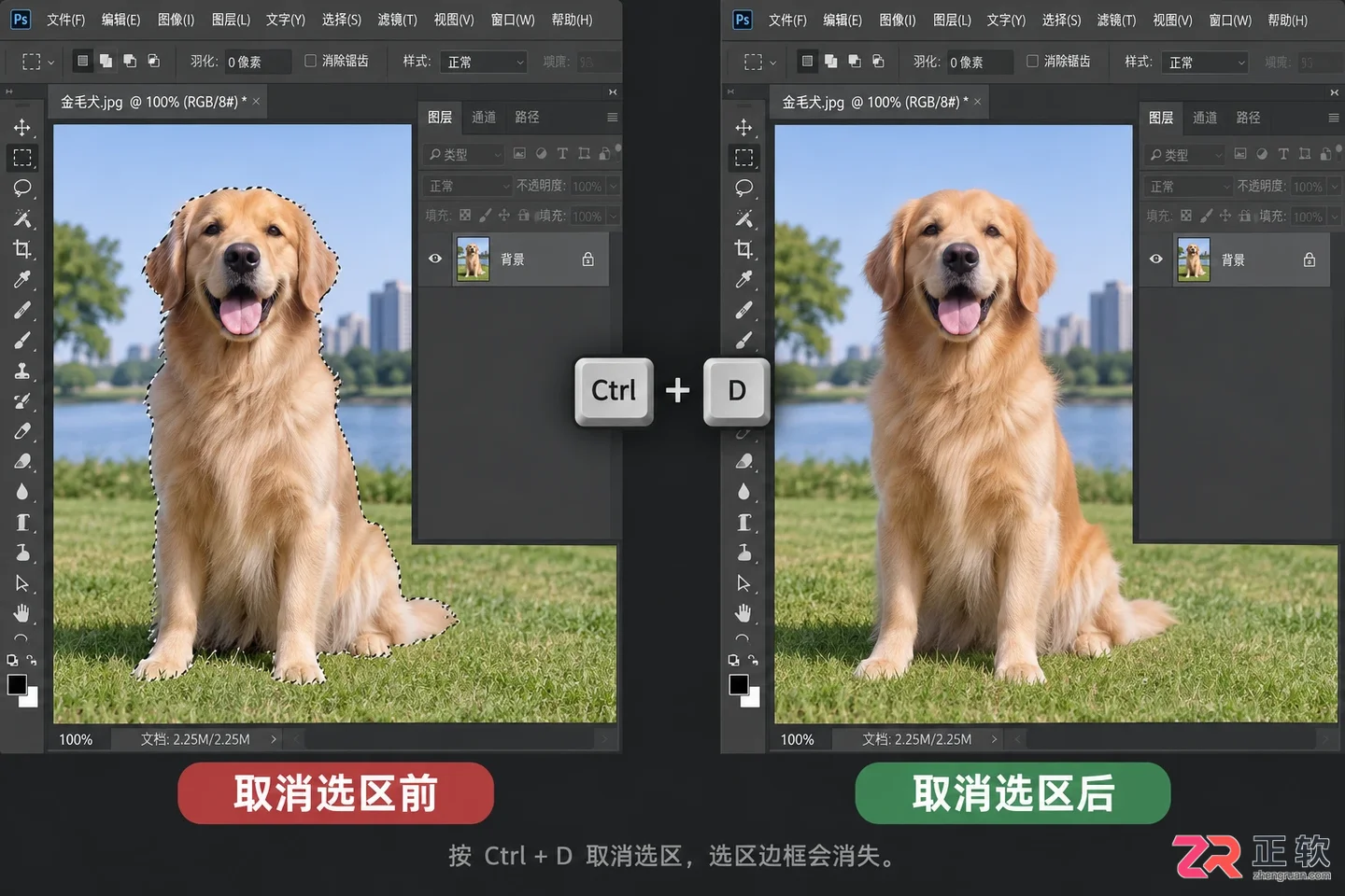 Photoshop选区的基本操作：建立 调整与取消选区