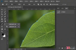 Photoshop 路径选择工具 在哪