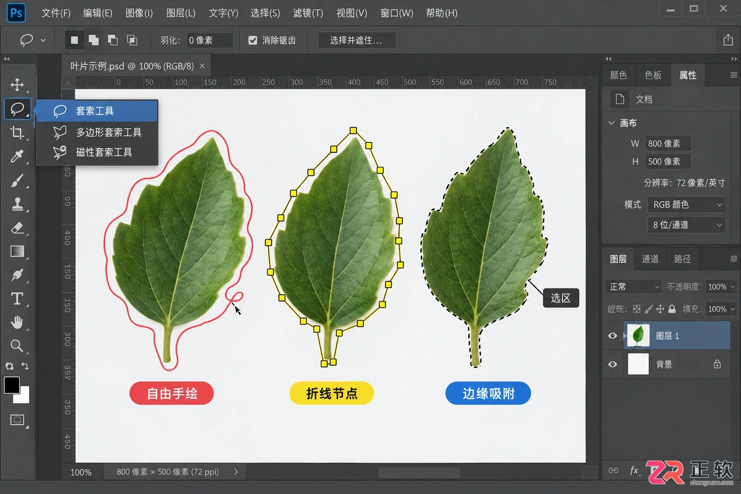 Photoshop选区工具有哪些？常用工具及作用介绍