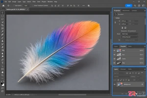 photoshop通道抠有颜色的羽毛